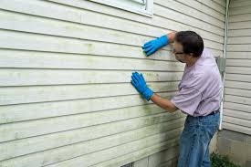 Best Siding Painting and Refinishing  in Williamsport, IN